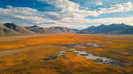 Fototapeta premium Aerial view of a golden field with water streams and mountains under a cloudy blue sky landscape