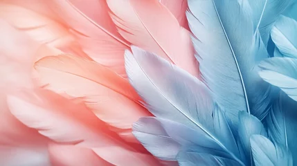 Fototapete Krankenhaus Aesthetic soft feathers in a natural pastel and neutral color background, symbolizing fragility, purity, and beauty. Delicate elements from nature with a smooth texture and modern design.    © Your Hand Please