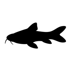 corydoras catfish black silhouette of a moorish idol fish aquatic animal ocean life- simple black silhouette of a corydoras catfish tropical sea life animal icon,