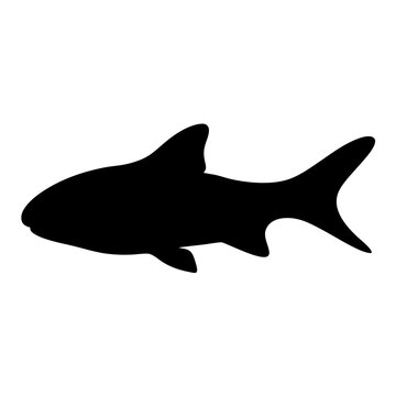 recommend clip art: corydoras catfish black silhouette of a moorish idol fish aquatic animal ocean life- simple black silhouette of a corydoras catfish tropical sea life animal icon,