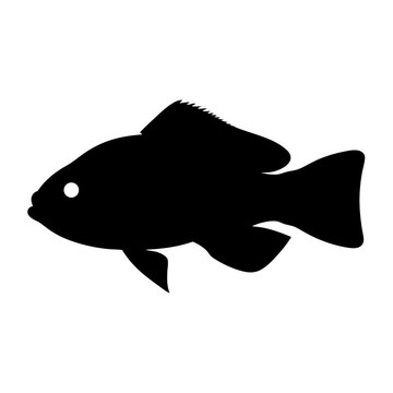 recommend clip art: dwarf cichlid fish black silhouette of a moorish idol fish aquatic animal ocean life- simple black silhouette of a dwarf cichlid fish tropical sea life animal icon,