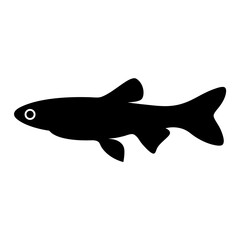 endler s livebearer fish black silhouette of a moorish idol fish aquatic animal ocean life- simple black silhouette of a endler s livebearer fish tropical sea life animal icon,