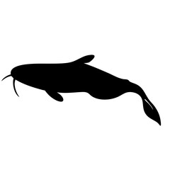 glass catfish black silhouette of a moorish idol fish aquatic animal ocean life- simple black silhouette of a glass catfish tropical sea life animal icon,