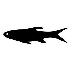 glass catfish black silhouette of a moorish idol fish aquatic animal ocean life- simple black silhouette of a glass catfish tropical sea life animal icon,