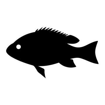 recommend clip art: firemouth cichlid fish black silhouette of a moorish idol fish aquatic animal ocean life- simple black silhouette of a firemouth cichlid fish tropical sea life animal icon,