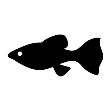 recommend clip art: guppy fish  black silhouette of a moorish idol fish aquatic animal ocean life- simple black silhouette of a guppy fish  tropical sea life animal icon,