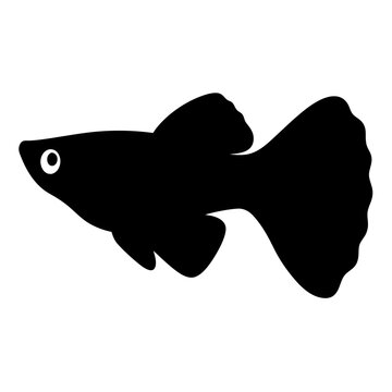 recommend clip art: guppy fish black silhouette of a moorish idol fish aquatic animal ocean life- simple black silhouette of a guppy fish tropical sea life animal icon,