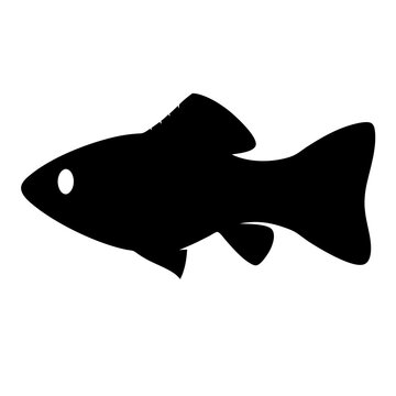 recommend clip art: molly fish black silhouette of a moorish idol fish aquatic animal ocean life- simple black silhouette of a molly fish tropical sea life animal icon,