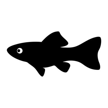 recommend clip art: molly fish black silhouette of a moorish idol fish aquatic animal ocean life- simple black silhouette of a molly fish tropical sea life animal icon,