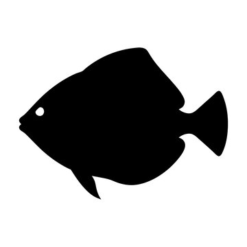 recommend clip art: platy fish black silhouette of a moorish idol fish aquatic animal ocean life- simple black silhouette of a platy fish tropical sea life animal icon,