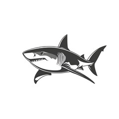 Obraz premium Illustration of a Shark Swimming Gracefully Through the Ocean Waters with a Transparent Background