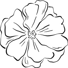 Soft petal flower with wrinkled edges and round center