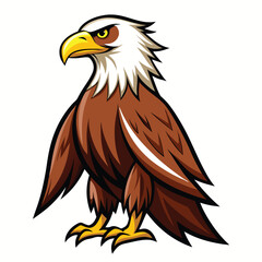 Eagle  isolated on white background