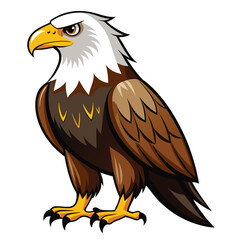 Eagle  isolated on white background