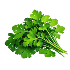Coriander Leaves Isolated On Transparent Background, Generative AI