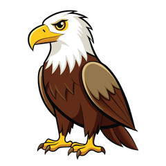 Eagle  isolated on white background