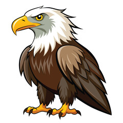 Eagle  isolated on white background
