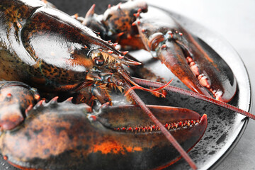 One raw lobster on grey table, closeup © New Africa