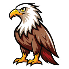 Eagle  isolated on white background