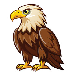 Eagle  isolated on white background