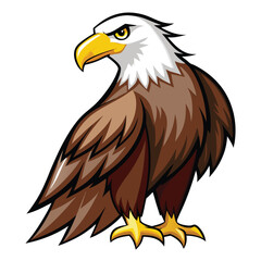 Eagle  isolated on white background