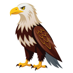 Eagle  isolated on white background