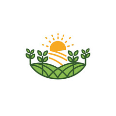 Fototapeta premium Sunrise over a green field with plants and nature