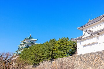 名古屋城の桜、春の訪れを告げる