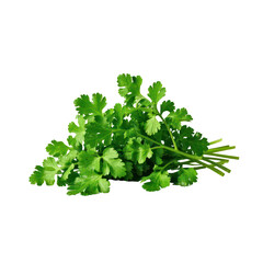 Fototapeta premium Coriander Leaves Isolated On Transparent Background, Generative AI