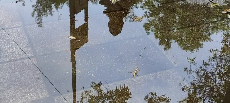 A beautiful scene of public park, green tree plant and a cloudy blue sky of celebrationUna Escena hermosa del parque  p&uacute;blico, planta de &aacute;rbol verde y un cielo azul nublado de fiesta(71)