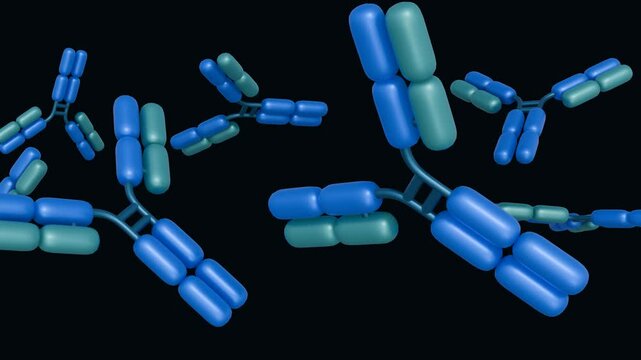 3d animation of scattered antibody molecules in motion