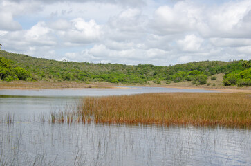 Beautiful natural landscapes with river and dense vegetation of the Atlantic Forest of Baixio Village. North coast, Coconut Coast, Bahia - Brazil
