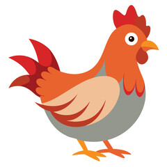 Hen isolated on white background