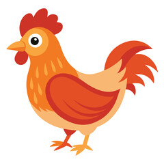 Hen isolated on white background