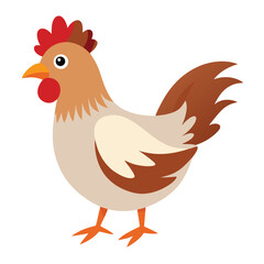 Hen isolated on white background