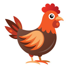 Hen isolated on white background