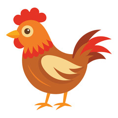 Hen isolated on white background