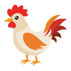 Hen isolated on white background
