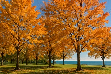 Fototapeta premium Vibrant Autumn Landscape with Golden Maple Trees by a Serene Lake