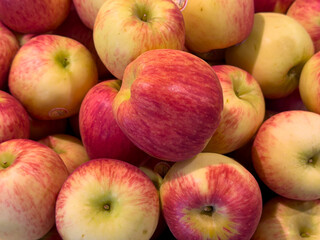 close-up of pile ripe apple fruits