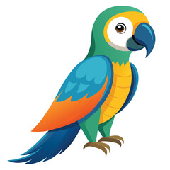 Parrot isolated on white background