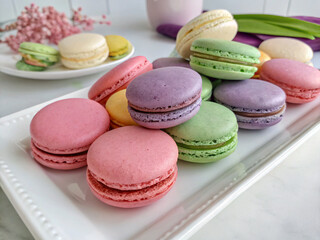 Obraz premium A delightful collection of pastel macarons, delicately arranged on a pristine white plate, showcasing a rainbow of sweet flavors and delightful textures.