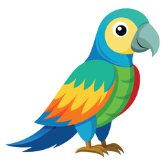 Parrot isolated on white background