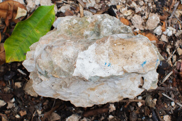 A large, rugged rock with white, beige, and light brown tones, featuring hints of green and blue markings. Situated on a ground covered in dry leaves, small stones, and twigs, with a vibrant green lea