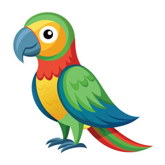 Parrot isolated on white background