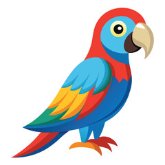Parrot isolated on white background