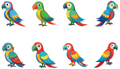Set of parrots isolated on white background