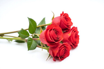 Fototapeta premium three red roses with green leaves on a white background