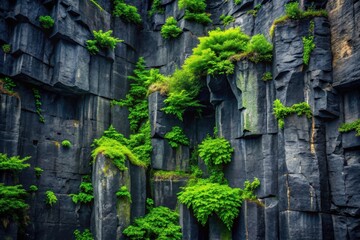 Lush greenery thrives amidst the stark, imposing basalt columns, a breathtaking testament to nature's resilience and vibrant life flourishing in unexpected places.