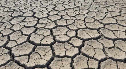 Arid Cracked Land Surface Reveals Effects of Drought in Dry Climate